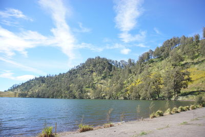 Scenic view of lake by trees against sky