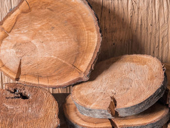 High angle view of logs in forest