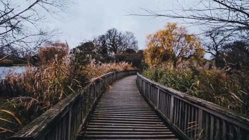 Footbridge over canal amidst trees against sky