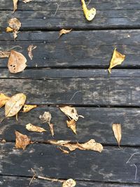High angle view of dry leaves on table