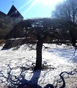 Bare trees on snow covered landscape against sky