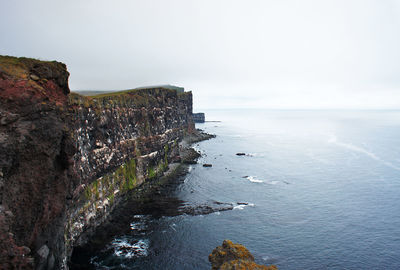 Scenic view of bird cliffs of iceland and north atlantic ocean beautiful landscape nature latrabjarg
