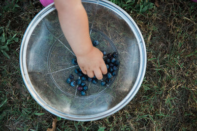 Cropped hand picking blueberry from colander