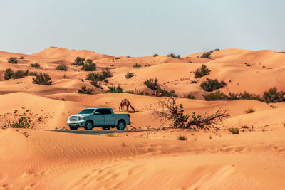 Scenic view of desert against sky