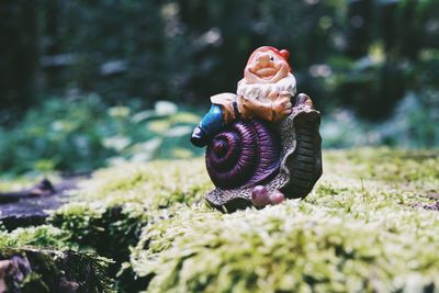 Close-up of gnome and snail statue on moss