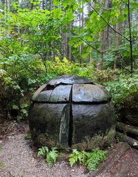 View of wooden logs in forest