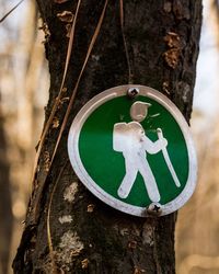 Close-up of sign on tree trunk