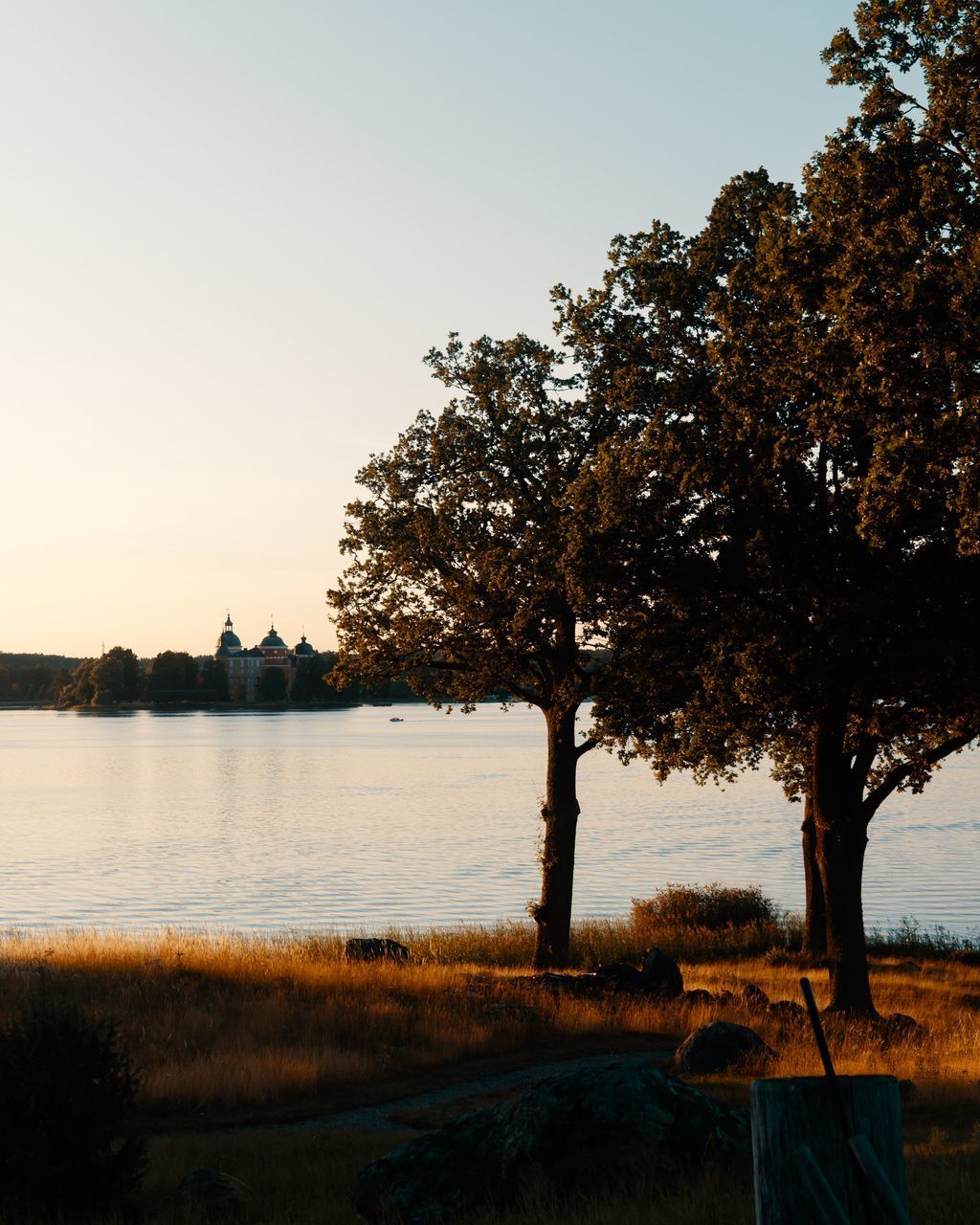 TREES BY LAKE AGAINST CLEAR SKY DURING SUNSET