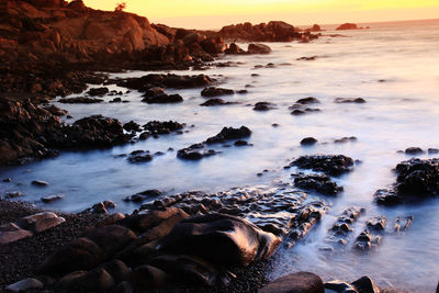 Scenic view of sea during sunset