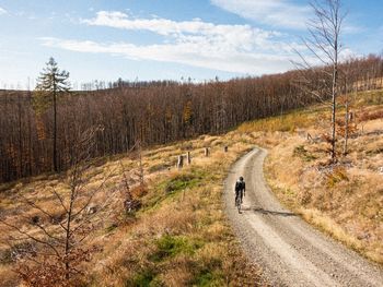 A gravel cyclist on a gravel road with autumn colours all around.