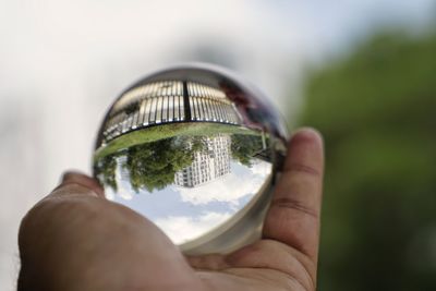 Cropped hand holding crystal ball