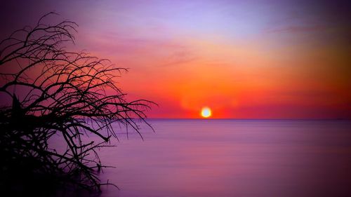 Silhouette bare tree by sea against romantic sky at sunset