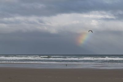 Seagull flying over beach against sky