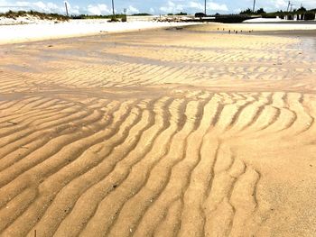 Sand dunes at beach