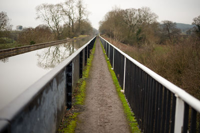 View of bridge along trees