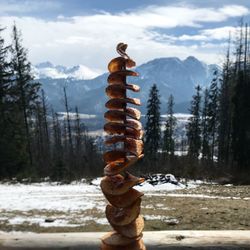 Stack of logs on snow covered land against sky