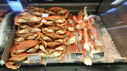 Close-up of seafood for sale in market