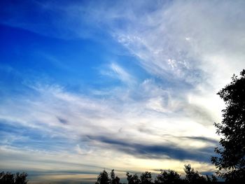 Low angle view of trees against cloudy sky