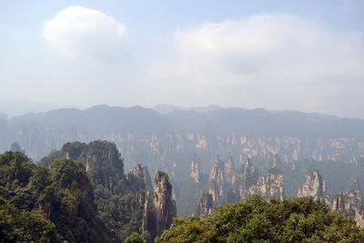 High angle view of trees on landscape against sky