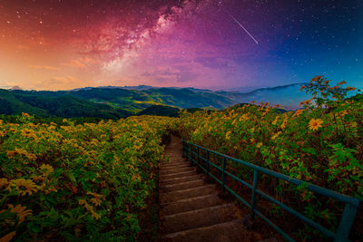 Scenic view of landscape against sky at night