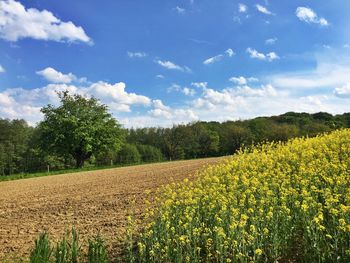 Scenic view of field against sky