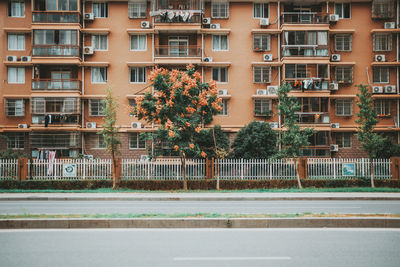 Buildings by swimming pool in city