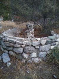 Stone stack on rock in forest