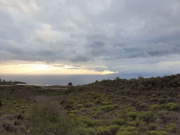 Scenic view of landscape against sky