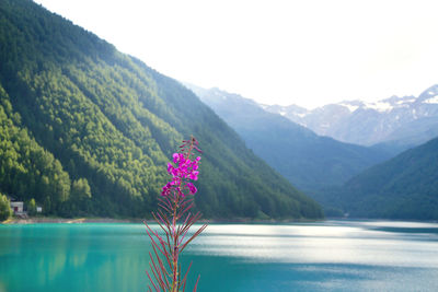 Scenic view of lake with mountains in background