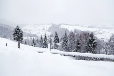 Trees on snow covered landscape against sky