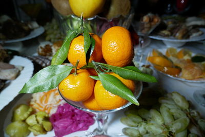 Close-up of orange fruits