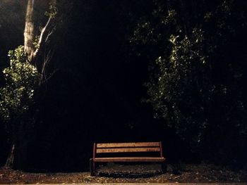 Empty bench in park