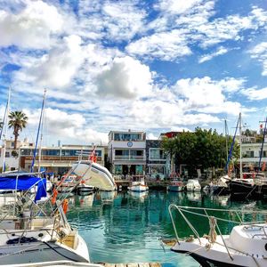 Sailboats moored in harbor