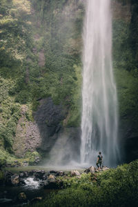 Low angle view of waterfall in forest