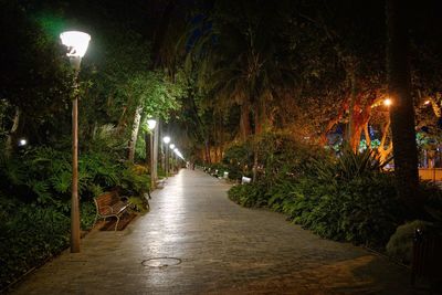 Illuminated plants by trees at night