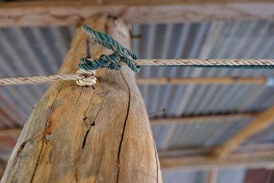 Close-up of rope tied to metal fence