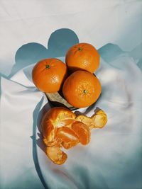 High angle view of mandarine oranges 