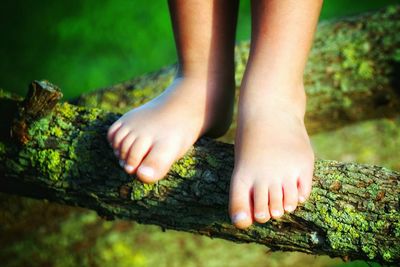 Low section of child on tree trunk