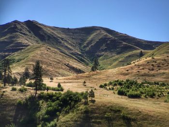 Scenic view of landscape against clear blue sky