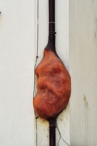 Close-up of bell pepper hanging on wall