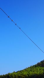 Low angle view of birds against blue sky