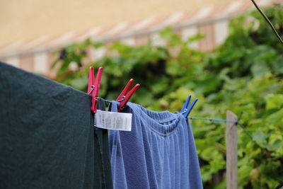 Close-up of clothes drying on clothesline