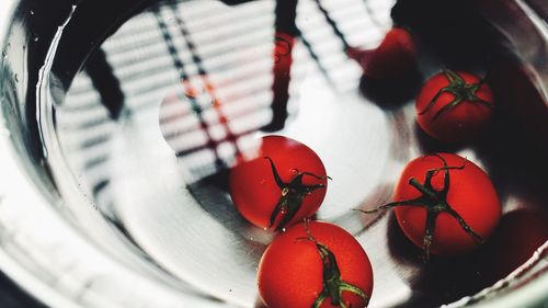 Tomatoes in the basin with water, cleaning vegetables before cook, water reflections.