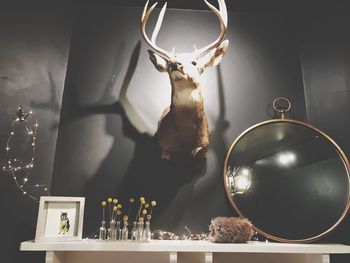 Close-up of cat on table at home