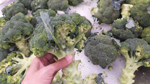 Cropped image of hand holding ice cream
