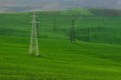 Scenic view of green landscape