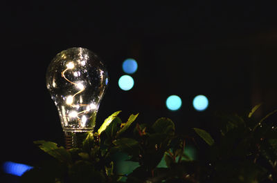 Close-up of illuminated light at night