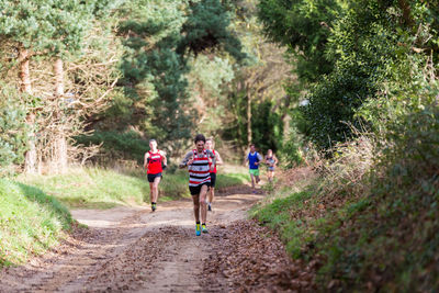 People walking on footpath in forest