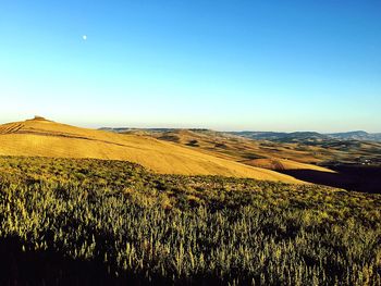 Scenic view of landscape against clear blue sky