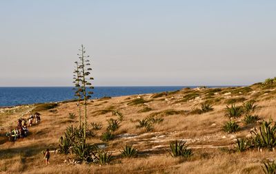 Scenic view of sea against clear sky